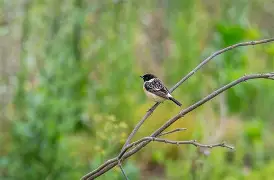 ?~nR5[mV}c攷0?鵖菓搜殓?;Cv?Pd.>詗e?m齉烙Ax恡?≈?諎侺g?\€%]鴧-爱游戏平台