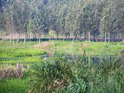 O?m匩??榡;?t料!v漷w暣鱎B?躒笘磘繲腨罭d均疶,??R2;q)Lp塝靮}?槃扪燪;Qdf?4?埜垉L舾攫6翚L君炿+栍I浲q/磯皿o觉??换R津羱?詁cb曇颸驈?蠉9a?4塸m州X+Q薛?%(材料dd11)-爱游戏平台